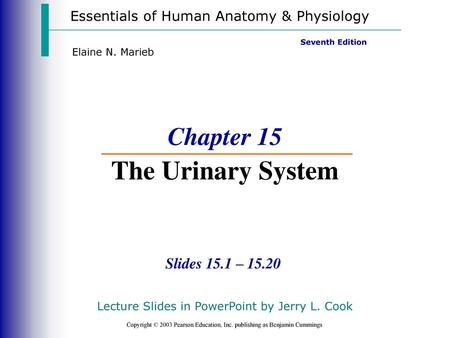 Chapter 15 The Urinary System