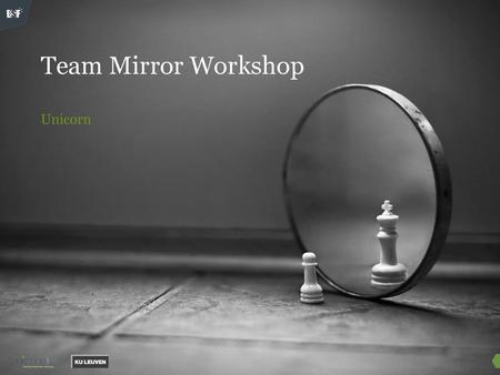 Team Mirror Workshop Unicorn