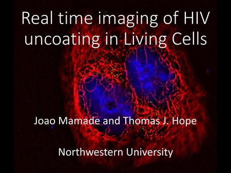 Real time imaging of HIV uncoating in Living Cells