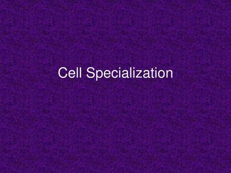 Cell Specialization.