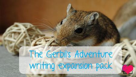 The Gerbil’s Adventure