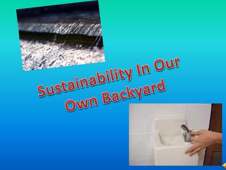 Sustainability In Our Own Backyard.