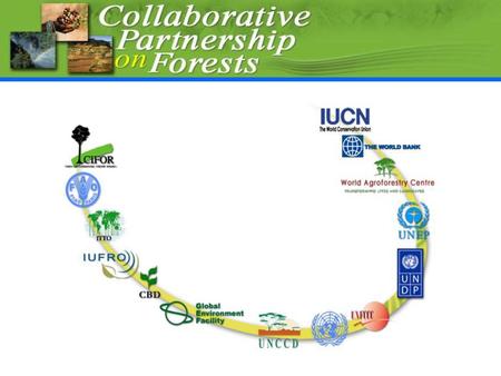 Global Forest Information Service