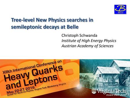 Tree-level New Physics searches in semileptonic decays at Belle