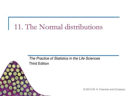 11. The Normal distributions