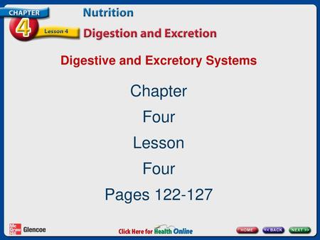 Digestive and Excretory Systems