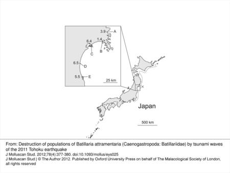 Figure 1. Sampling sites in northeastern Japan. A