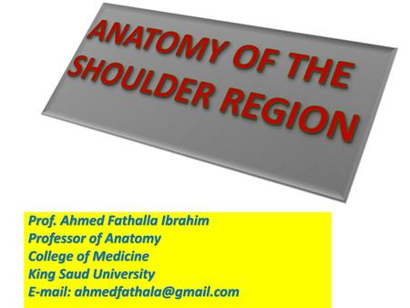 ANATOMY OF THE SHOULDER REGION