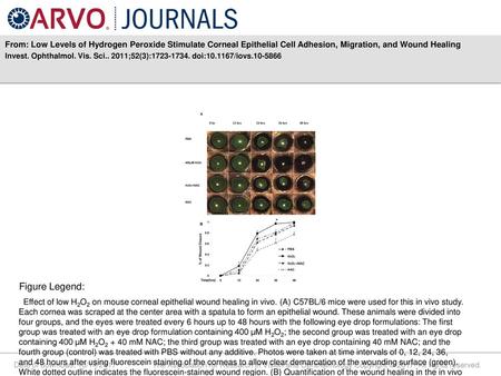 From: Low Levels of Hydrogen Peroxide Stimulate Corneal Epithelial Cell Adhesion, Migration, and Wound Healing Invest. Ophthalmol. Vis. Sci.. 2011;52(3):1723-1734.