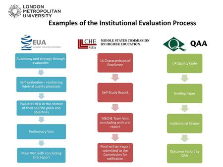 Examples of the Institutional Evaluation Process