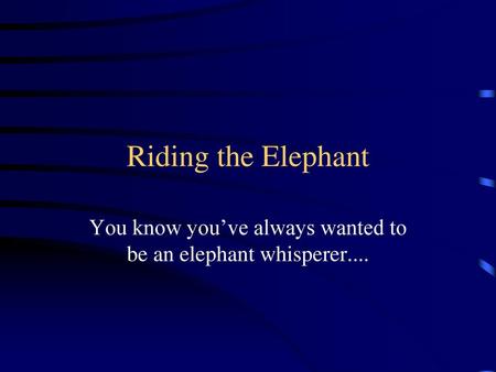 You know you’ve always wanted to be an elephant whisperer....