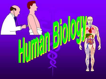 Human Organization Cells- smallest living unit