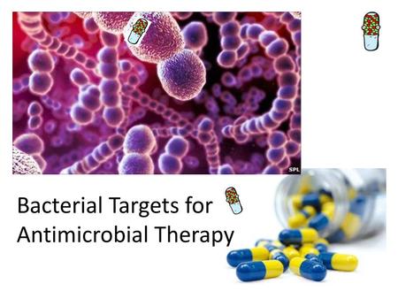 Bacterial Targets for Antimicrobial Therapy