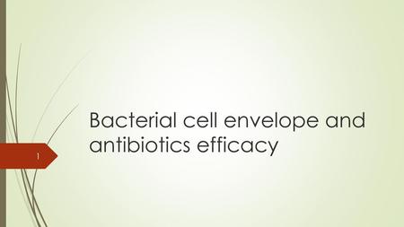 Bacterial cell envelope and antibiotics efficacy