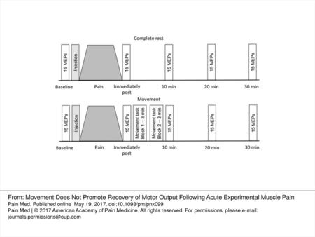 Figure 1 Experimental protocol for the Rest (top) and Movement (bottom) groups. A one-minute rest period was applied between the two movement blocks in.