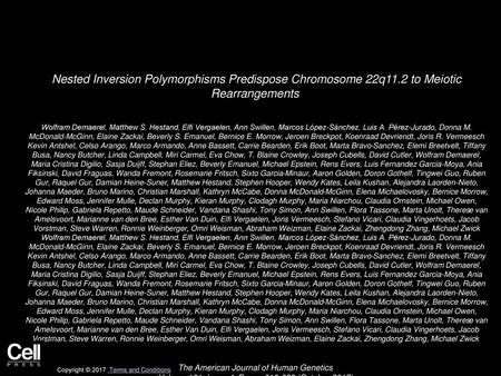 Nested Inversion Polymorphisms Predispose Chromosome 22q11