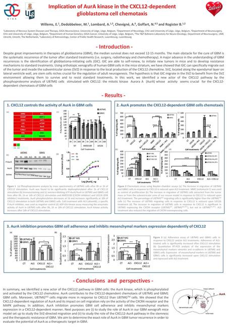 Implication of AurA kinase in the CXCL12-dependent