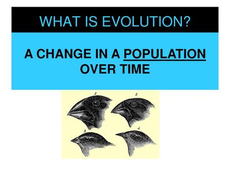 A CHANGE IN A POPULATION OVER TIME