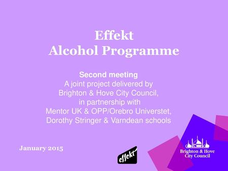 Effekt Alcohol Programme