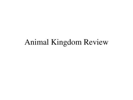 Animal Kingdom Review.