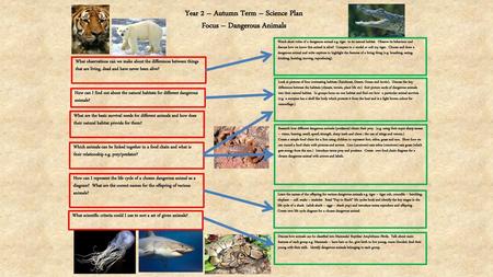 Year 2 – Autumn Term – Science Plan Focus – Dangerous Animals