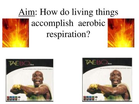 Aim: How do living things accomplish aerobic respiration?