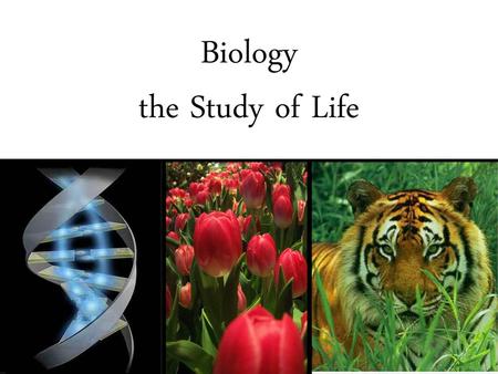 Biology the Study of Life