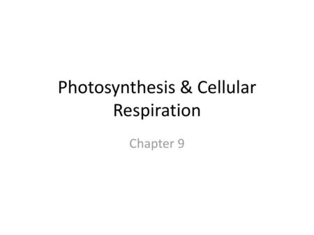 Photosynthesis & Cellular Respiration