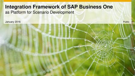 Integration Framework of SAP Business One as Platform for Scenario Development January 2016 Public.