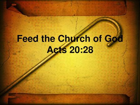 Feed the Church of God Acts 20:28