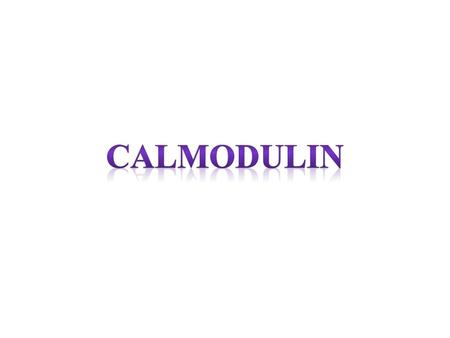 Calmodulin.