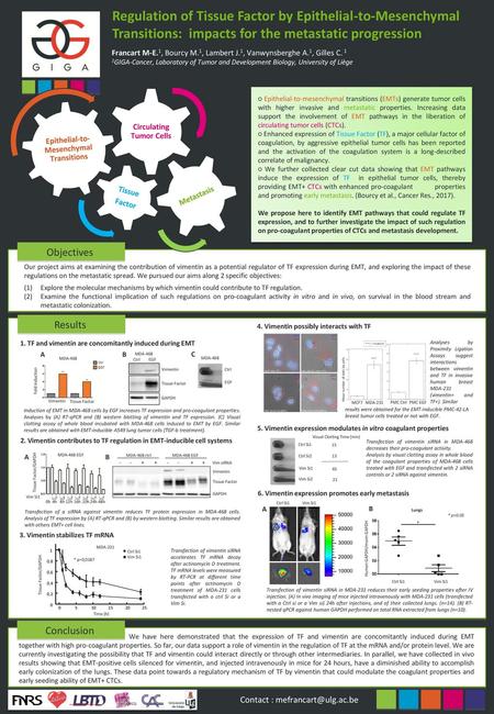 Epithelial-to-Mesenchymal Transitions Circulating Tumor Cells