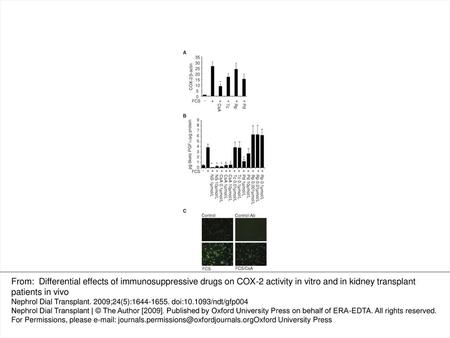 Fig. 1 ( A ) COX-2 mRNA abundance in hVSMC incubated without (−) and with (+) fetal calf serum (FCS, 2 h) and vehicle (control), cyclosporine A (CsA 100.