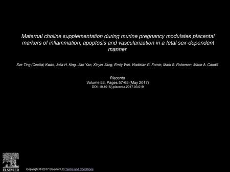 Maternal choline supplementation during murine pregnancy modulates placental markers of inflammation, apoptosis and vascularization in a fetal sex-dependent.