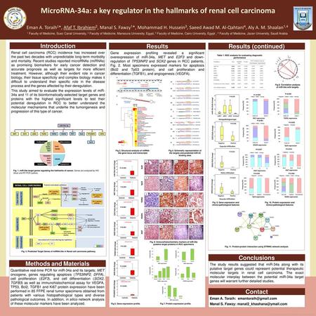 MicroRNA-34a: a key regulator in the hallmarks of renal cell carcinoma