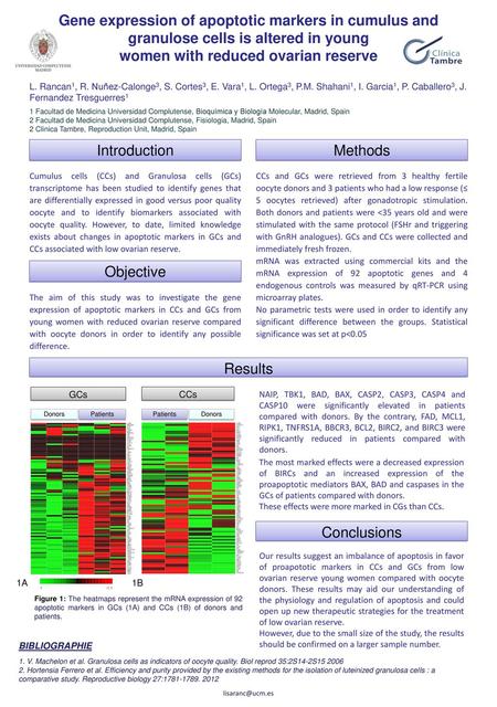 women with reduced ovarian reserve