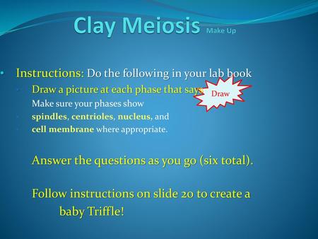 Clay Meiosis Make Up Instructions: Do the following in your lab book