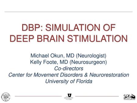 DBP: SIMULATION OF DEEP BRAIN STIMULATION