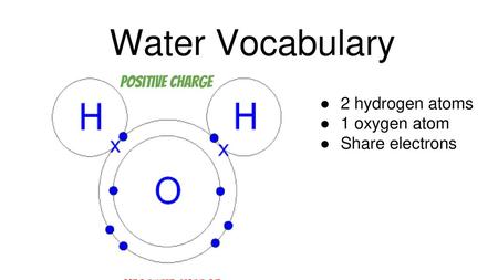 Water Vocabulary Positive charge 2 hydrogen atoms 1 oxygen atom