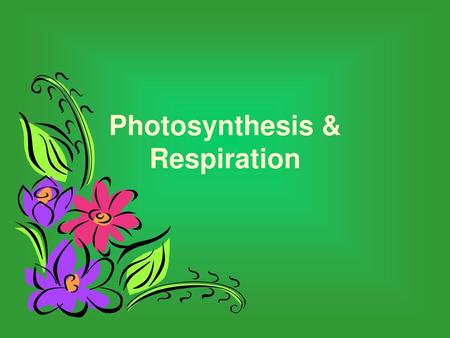 Photosynthesis & Respiration