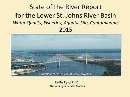 Lower Basin of the St. Johns River Jacksonville, FL