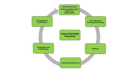 Apprenticeship Standard