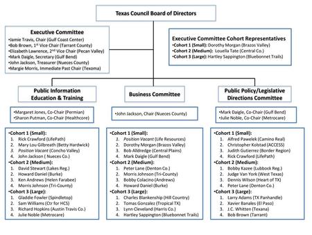 Texas Council Board of Directors