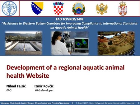 Development of a regional aquatic animal health Website