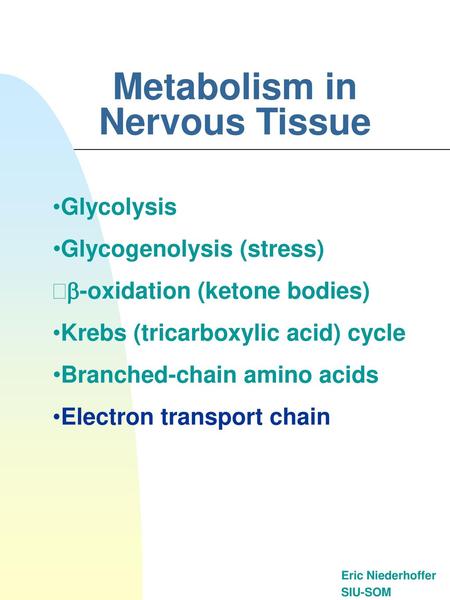 Metabolism in Nervous Tissue