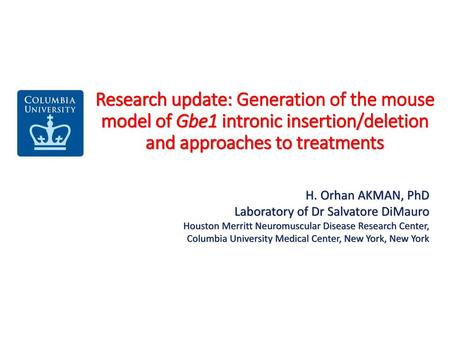 Research update: Generation of the mouse model of Gbe1 intronic insertion/deletion and approaches to treatments H. Orhan AKMAN, PhD Laboratory of Dr Salvatore.