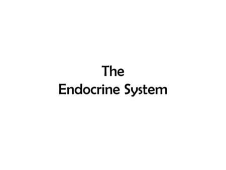 The Endocrine System.