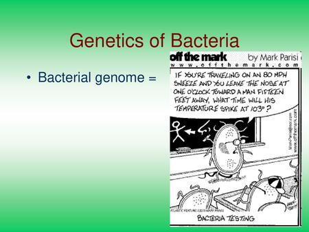 Genetics of Bacteria Bacterial genome =.