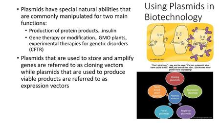 Using Plasmids in Biotechnology