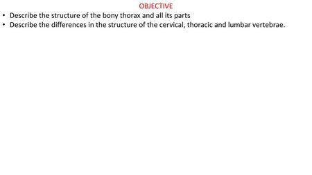 OBJECTIVE Describe the structure of the bony thorax and all its parts